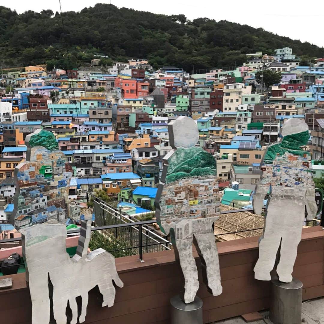 佐藤彩さんのインスタグラム写真 - (佐藤彩Instagram)「釜山のマチュピチュと言われている、甘川洞文化村✨ 全体がアートな雰囲気ですし、素敵な場所がありすぎて、たくさん写真を撮りました😊 全部は載せられないので、もうこのあたりで…  ちょいと調子に乗ってる感じのポーズのものも混ざっていますが。笑﻿ 私の前に撮影していた方の真似をしたものもあります。 ﻿私がやると…ねぇ😅 でも、参考になりました！  甘川洞文化村で今回出会えたアート作品は、写真で見ていた場所を探したり、偶然出会ったものもあったり… すごい数になりましたが、まだ他にもあると思います。 新しい発見がありそうですし、また機会を見つけて訪れたい場所です😊  最後は、海雲台の夜景で🌃  LCCでお得なチケットを見つけたらひょいと気軽に行けちゃう韓国、釜山。 オススメですよ😊  やっと前の旅の話が完結しました… ちなみに、1ヶ月遅れのバースデー休暇で訪れている今回の旅もまたLCC旅ですが… のんびり楽しんでいます。 この話はまたそのうち…するかも？  では、皆さん素敵な週末を✨. .  #釜山旅行 #甘川洞文化村  #写真を撮りたくなる #お得に #LCC旅 #旅好き #HBC #アナウンサー #佐藤彩」5月31日 17時36分 - hbc_ayasato