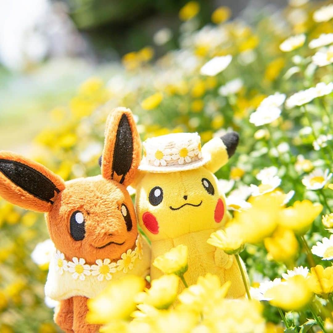 ピカチュウ公式Instagramさんのインスタグラム写真 - (ピカチュウ公式InstagramInstagram)「【今日のピカチュウ】 イーブイといっしょにお花畑を散策チュウ🌼 ピカチュウにそっくりな色のお花がたくさんだね😊 #pikachu #eevee #pokemon #pikachu_snap #photooftheday #spring  #flower #flowers #sunny #hat #ピカチュウ #イーブイ #ポケモン #春 #花 #晴れ #帽子」5月31日 18時00分 - pokemon_jpn