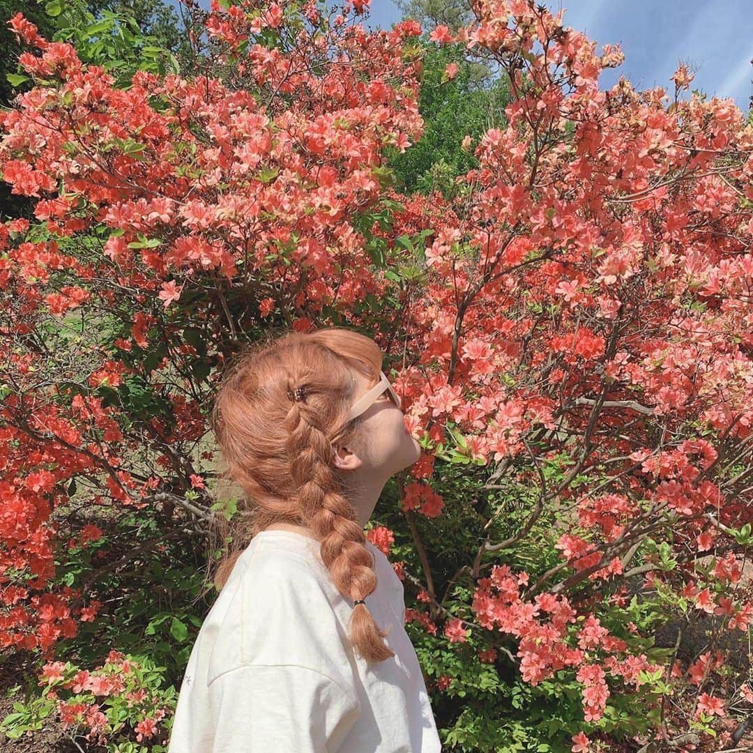 のインスタグラム：「. 次のヘアカラーに悩んだときは、季節のお花や、イベントに合わせたカラーを選ぶと映えること間違いなし♪ ヘアアレンジをすると、更にインスタ映えするでしょう♡MERYの記事では、毎日のちょっとしたお洒落になるコツや、特別な日のスペシャルなアレンジ方法など、様々な視点からヘアアレンジを紹介しています！ 髪について悩んだときは、MERYを参考にしてみてね♡ . 【ヘアアレンジが120％可愛くなる魔法。動画でマスターする4パターンの編み込み】 https://mery.jp/1022617 . MERYでは他にも「かわいい」に近づくさまざまな情報を発信しています。 @mery.beauty コスメ・美容に特化した情報をお届け♡ @mery_spot 話題のカフェやお出かけスポットをご紹介！ こちらもぜひチェックしてみてください！ . . photo by @nice._.takaup . #MERY #regram #instagram #photogenic #instagenic #instagood #instalike #hair #haircolor #hairarrange #flower #coralpink #pink #flowers #머리스타그램 #イメチェン #ヘアアレンジ #編み込み  #編み込みアレンジ #お花 #お花のある暮らし #ヘアカラー #ピンクヘアー #コーラルピンク #ハイトーン #ハイトーンカラー #おしゃれさんと繋がりたい #お洒落さんと繋がりたい #MERY女子  #メリー」