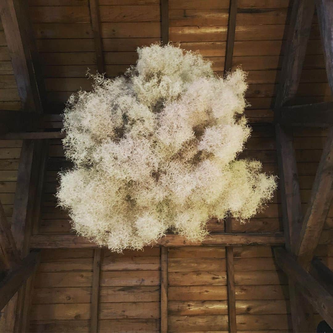 パスタ食堂 アントロワのグルメインスタ