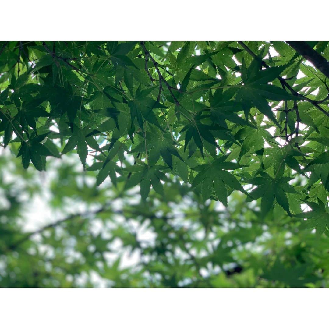 森田涼花のインスタグラム：「🍃」
