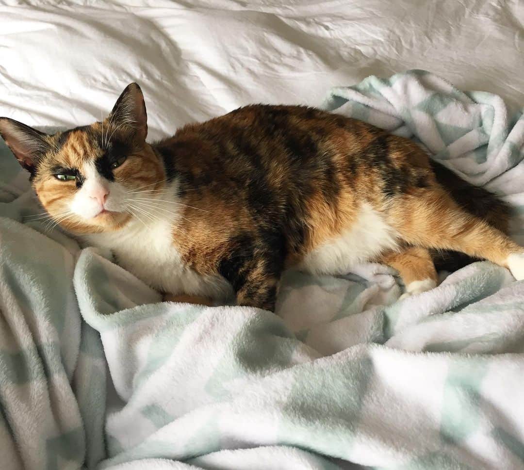リリーのインスタグラム：「Friyay! Time to party or time to nap?」