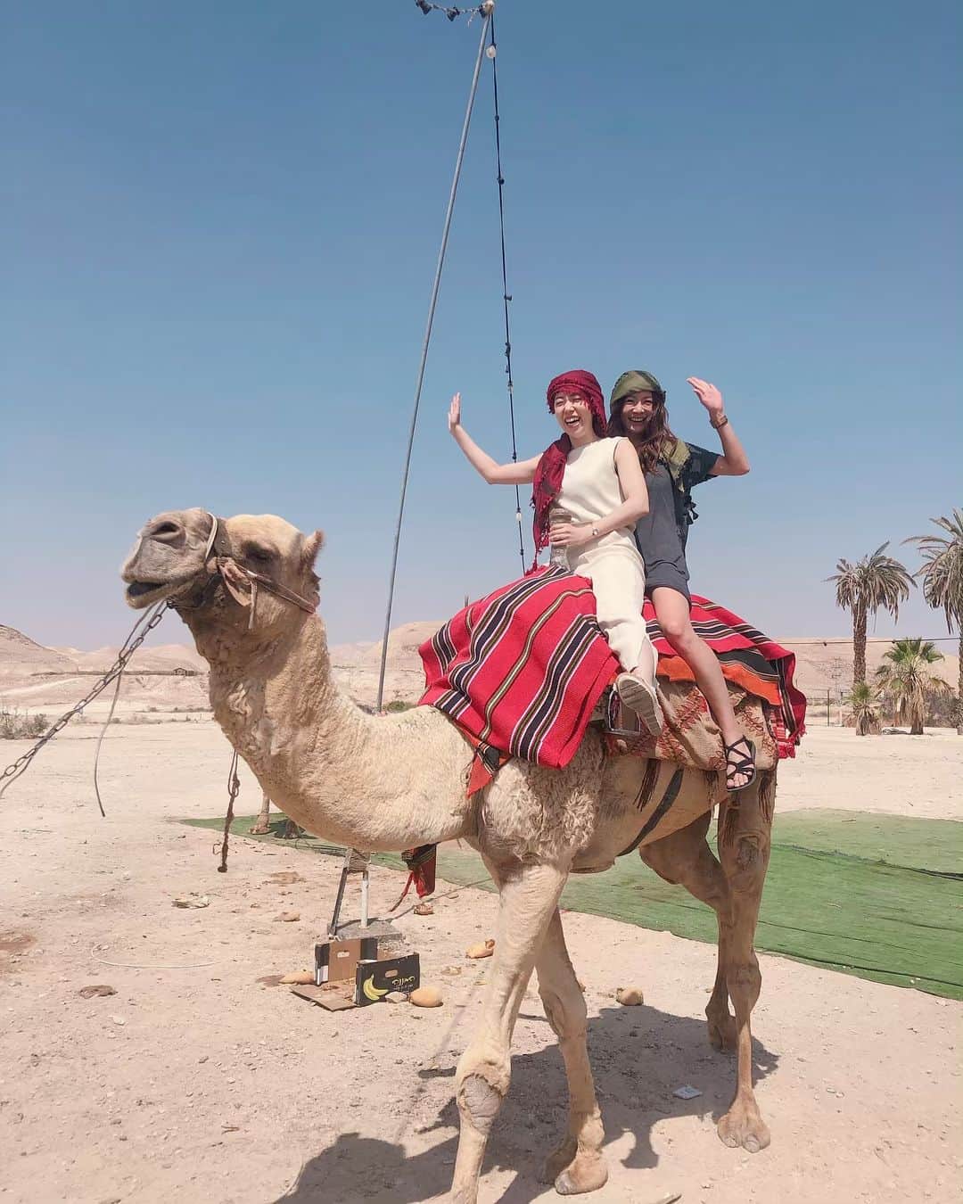 本田麻里絵さんのインスタグラム写真 - (本田麻里絵Instagram)「キャメルに触るなって成田空港にあったらしいけど、がっつり乗って帰ってった妹w🤣 Good experience in desert 🐪 🌵 #israel #desert #deadsea #camelriding #camel #israeltrip #イスラエル #イスラエル旅行 #デッドシー」6月1日 4時13分 - mariennu.bkk