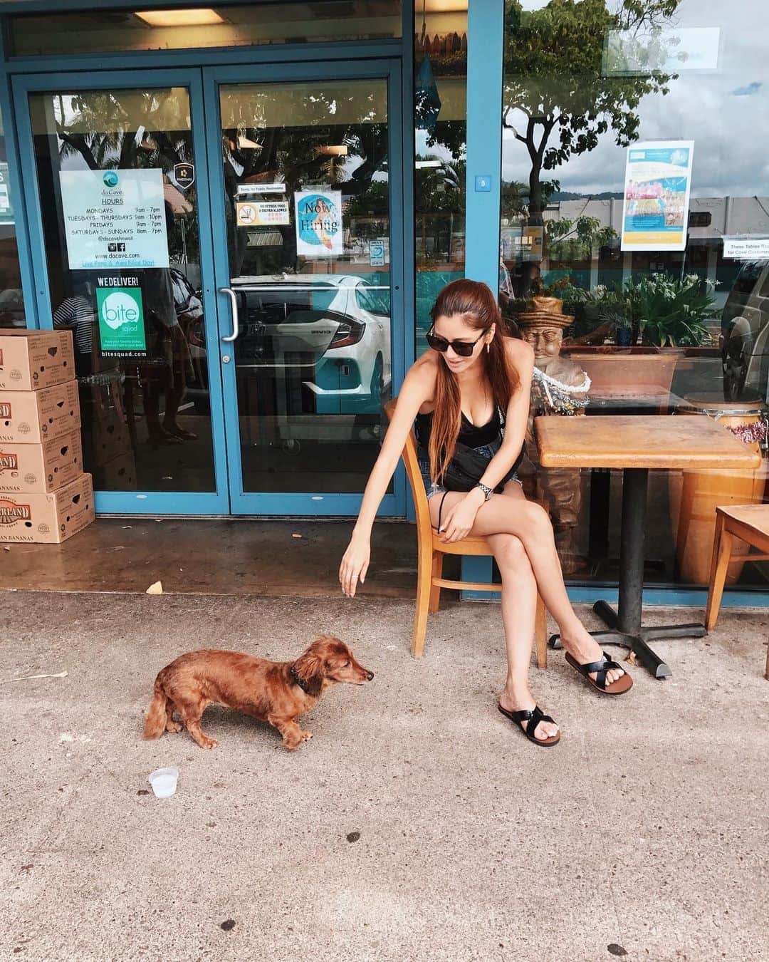 宮崎沙矢加さんのインスタグラム写真 - (宮崎沙矢加Instagram)「This puppy bring back memories about my sweet coco actually his name also Cocoa♥️♥️♥️I'm always be next to u~ . . . #hawaii #hi #oahu #chill #puppy #beach #diamondhead #picoftheday #cafe #waikiki」6月1日 4時23分 - sarah___audrey