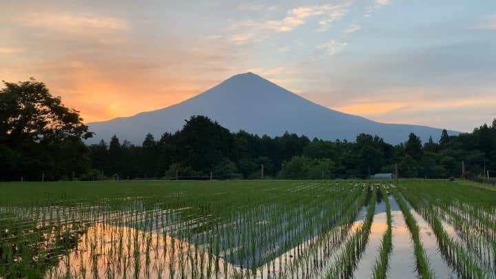 phantastic420のインスタグラム：「. 🤩🤩“Shizuoka” prefecture in Japan is a place where you can see the most “phantastic” Mt. Fuji🗻 in the world.🤩 #富士山 #mtfuji #japan #shizuoka #fujinomiya  #phantastic420photography #mostphantasticmtfuji #selamatpagi  #goodmorning  #おはようございます 😇😇😇😇😇😇😇🗻😇😇 素敵な朝です😍🤩😋」