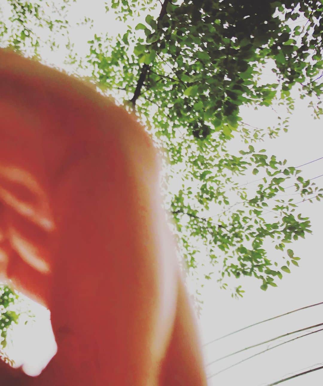 のインスタグラム：「#藤田朋子 #はてな  #たまたま #なんだと思う」