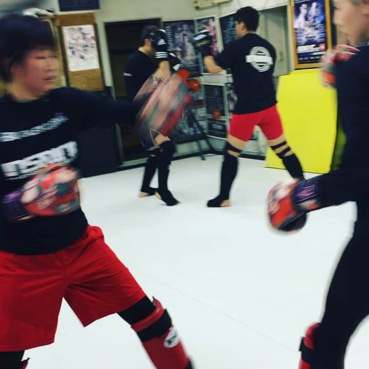 藤井惠のインスタグラム