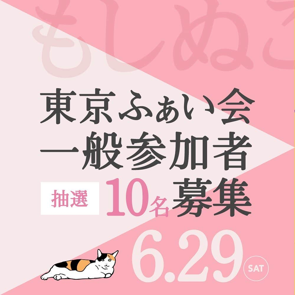 かりんちゃん&ちゃいちゃんさんのインスタグラム写真 - (かりんちゃん&ちゃいちゃんInstagram)「〈♪〉おしりドーナッツ ・ 【お知らせ】２つあります✨ 【moshinukoあみゅーずめんとぱーく✖️カリンバンドLIVE開催決定！】 ■内容 : moshinukoの世界観が楽しめる催し物、グッズ販売ほか KARIN BAND LIVE(Instagram LIVE配信あり) ■日時 : 8月3日（土）16:00〜20:00頃（予定）前後あります。 入場時間（後日連絡） ■場所 : 東京都渋谷（後日連絡） ■募集人数 : 50名 ■応募方法 : 抽選 ■応募期間 : 5月31日（金）〜6月23日（日）23:59まで ■当選連絡 　6月25日（火） 詳しくはウェブサイトへ ・ ・ 【東京『ふぁい会』一般参加者募集！】※抽選10名様 ■内容 : moshinuko裏トークほか 同じテーブルを囲んでお茶を楽しみながら雑談するイメージです。 ■日時 : 6月29日（土）11:00〜13:00（お時間の多少前後可能性あり） ■場所 : 東京都渋谷（現在調整中） ■募集人数 : 10名 ■応募方法 : 抽選 ■応募期間 : 5月31日（金）〜6月4日（火）23:59まで 詳しくはウェブサイトへ ・ ・ #猫 #ねこ #ネコ #もふもふ #ねこ部 #にゃんこ #猫部 #ふわもこ部 #🐱 #にゃんすたぐらむ #ぬこ #にゃんだふるらいふ #みんねこ #ペコねこ部 #かわいい #楽しい #catsofinstagram #cats #catstagram #neko #catsagram  #picneko #instagramjapan #instagram #comedy #三毛猫」5月31日 21時15分 - moshinuko