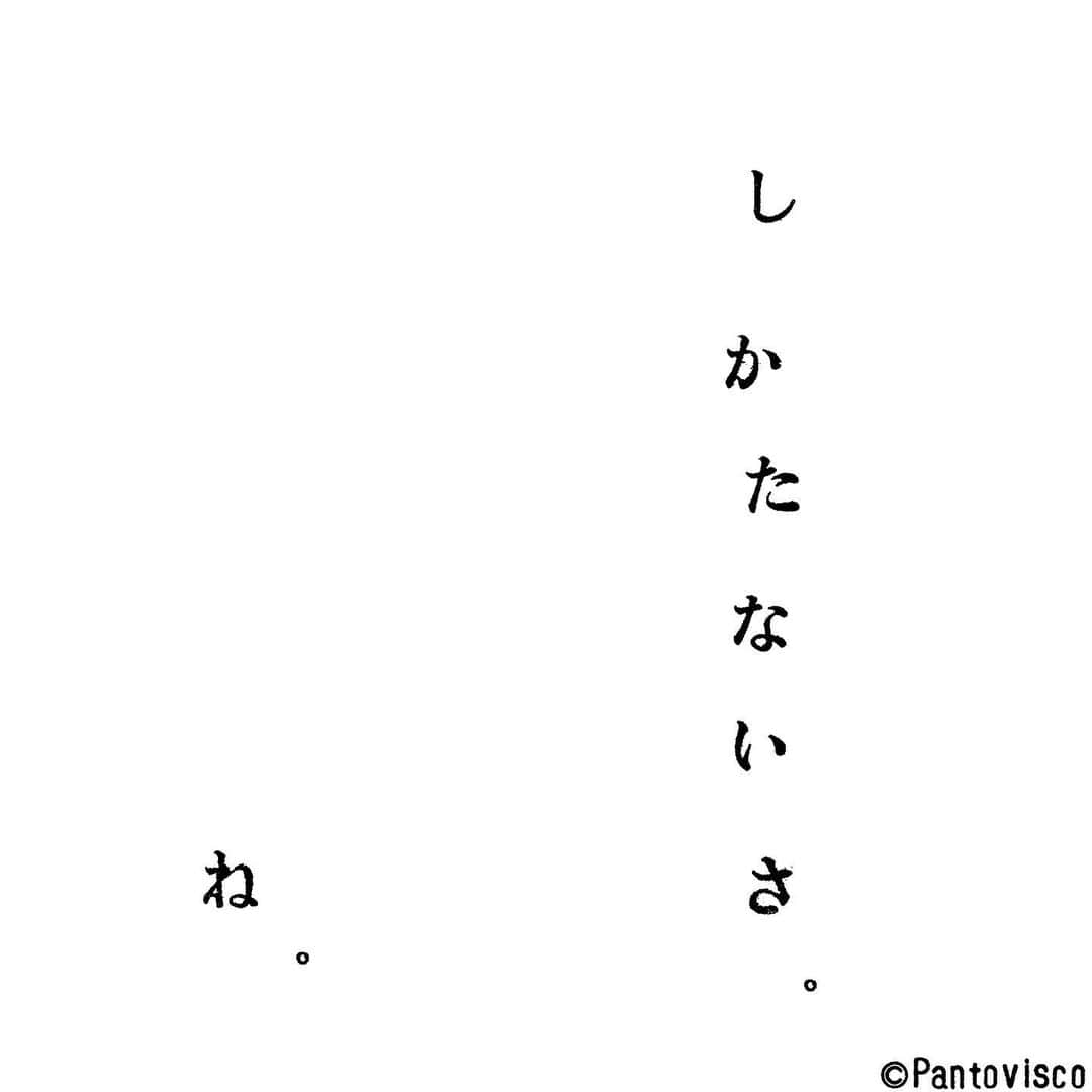 pantoviscoさんのインスタグラム写真 - (pantoviscoInstagram)「「ね」 #乙女に捧げるレクイエム その740」5月31日 21時25分 - pantovisco