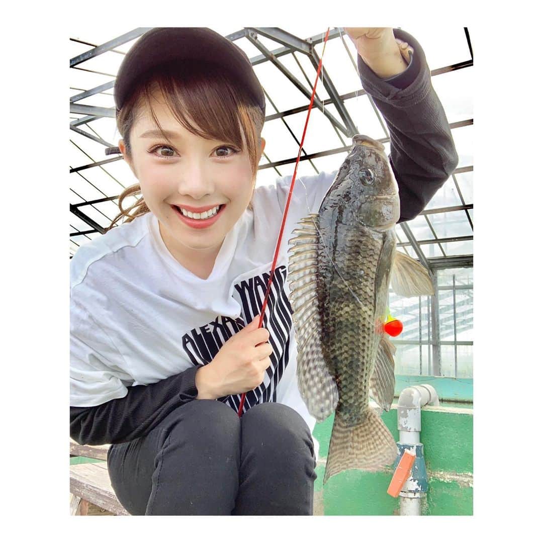 峰麻美さんのインスタグラム写真 - (峰麻美Instagram)「あーーーーー釣りしたい🎣  誰か一緒に釣りしない？笑  #fishing  #釣り #釣り堀 #ティラピア」5月31日 22時30分 - asaaaaami.0702