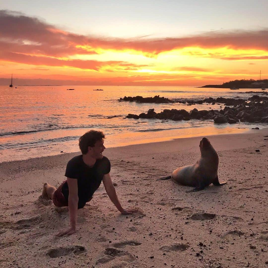 アラン・ディクソンさんのインスタグラム写真 - (アラン・ディクソンInstagram)「Someday I’ll find you Bae, but until then this stand in seal will have to do 😂 I’m actually looking to hire a creative filmer/editor who wants to travel and help? Helps if you already have a presence here on IG consistently producing media. DM or email me.👌🎥 #galapagos #galapagosislands #ecuador #wildlife #nature #dancing #igtvanimals #igtvwildlife #wildlife #sealions #seals #dontfeedanimals #travel #joboffer #filmingjob #relationshipgoals #sealsofinstagram #sealsquad #sealion #sunset #yoga #yogaposes」5月31日 22時26分 - daxon