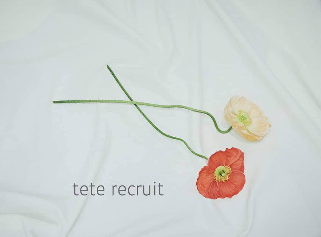 時田健太さんのインスタグラム写真 - (時田健太Instagram)「tete coquette ・ tetenico 二次募集  会社説明会のお知らせ  2020年度卒業の新卒生を募集しております。 つきまして、会社説明会を行います。  日時  2019年6月8日(土)19:30～  場所  tetecoquette  6月7日(金)までにお電話で申し込みをお願い致します。(03-6874-2234)  応募期間は6月9日～6月21日(必着) 履歴書と全身写真2枚を同封の上、tetecoquette宛に郵送で送ってください。  １度目の面接は6月23日(日)19:30～になります。 7月中には選考が終わる予定です。  説明会にどうしてもご都合が合わない方がいらっしゃいましたら、個別のサロン見学も行っておりますので、お電話でお申込みください。 たくさんのご応募お待ちしております。  #tetenico#tetecoquette#tete#美容学生#美容師求人#美容師アシスタント#原宿#表参道」5月31日 22時26分 - tokikenta