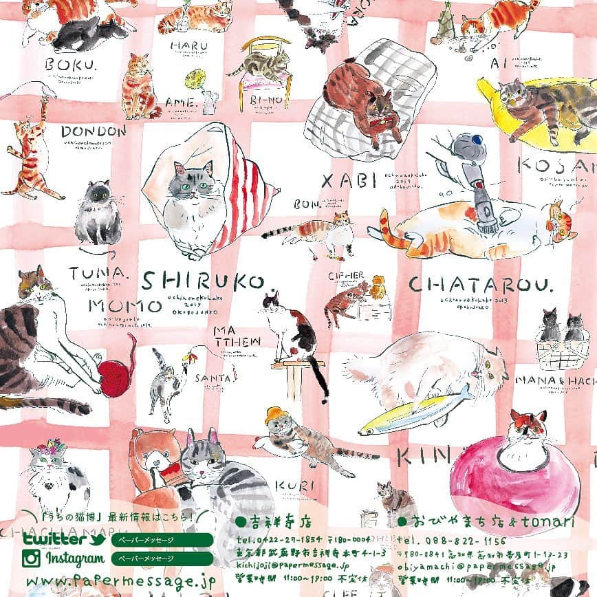 chiitarou_97さんのインスタグラム写真 - (chiitarou_97Instagram)「. ペーパーメッセージさんで 明日から開催される 「うちの猫博Vol.4」のモデルに なゆちゃんを選んでいただきました✨ . 【猫とお気に入り】というテーマがあり、 「お気に入りのアジとなゆちゃん」を とっても素敵なイラストにしていただきました😺🐟 . 60匹の猫ちゃんが紙雑貨になって販売されます✨ みんなのお気に入りは何かなぁ💭と、 本当に楽しみすぎる！🥺♡ 私も早速明日行ってみたいと思います🐾 . . なゆちゃんの原画は、 6/1（土）～7/7（日）高知のおびやまち店 7/13（土）～8/25（日）東京の吉祥寺店 で、展示されます🖼 . お近くの方はぜひ、みんなで一緒に癒されましょう❤︎ . . @papermessage さん @uchinonekohaku さん ありがとうございました💓 . . #ペーパーメッセージ #うちの猫博」5月31日 22時44分 - chiitarou_97