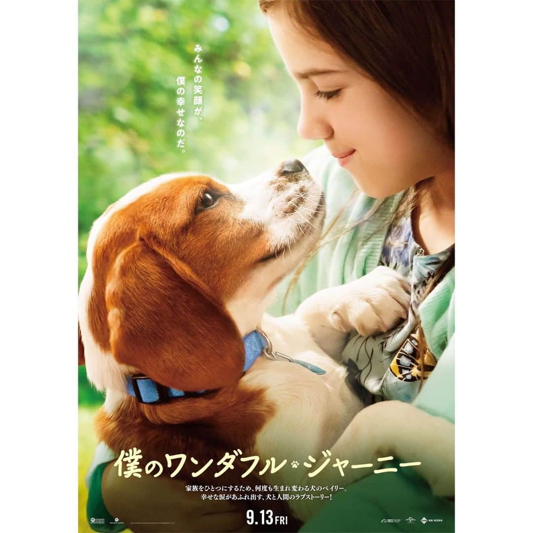 Filmarksさんのインスタグラム写真 - (FilmarksInstagram)「＼🐶日本オリジナルポスター解禁🐶／ 『僕のワンダフル・ジャーニー』（2019年製作） 原題：A DOG’S JOURNEY ・ 上映日：2019年9月13日／製製作国：アメリカ ・ あらすじ：前作で、50年で3回も生まれ変わり、最愛の飼い主イーサン(デニス・クエイド)との再会を果たした犬のベイリー。続編となる今作でもその “犬生”が終わりを迎え、再びイーサンに別れを告げようとしたベイリーに、「孫娘のCJを守ってほしい」という新たな<使命>が与えられる。イーサンや妻ハンナ(マージ・ヘルゲンバーガー)とうまくいかなくなったママのグロリア(ベティ・ギルピン)が、突然CJを連れて出て行ってしまったのだ。 ・ #犬 #dogmovie #僕のワンダフルジャーニー #dog #movie #cinema #映画部 #映画好き #映画鑑賞 #映画好きな人と繋がりたい #Filmarks ・ © Universal Pictures and Amblin Entertainment. All Rights Reserved.」5月31日 23時00分 - filmarks_official