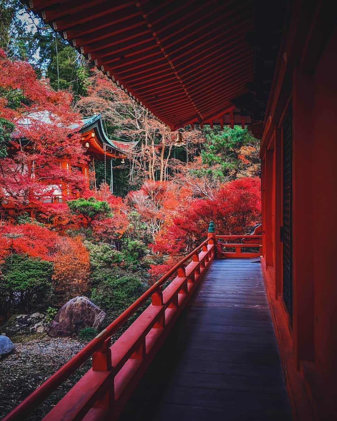 福田洋昭のインスタグラム：「Discovering Japan through it's many distinct seasons #GooglePixel #Pixelで撮影 #TeamPixel #Sponsored」