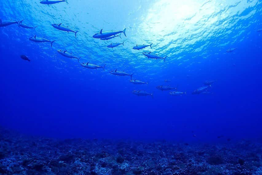 寺島速人のインスタグラム