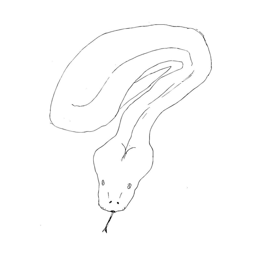 高松雪乃さんのインスタグラム写真 - (高松雪乃Instagram)「前回の #はちゅドル画伯 の正解はカミツキガメでした🐢 今日は何を描いたでしょう？🤗 ある蛇のアルビノを描きました！頭のポコっとしたのが特徴です。蛇の難しい😣  #はちゅドル画伯」5月31日 23時11分 - yukinotakamatsu