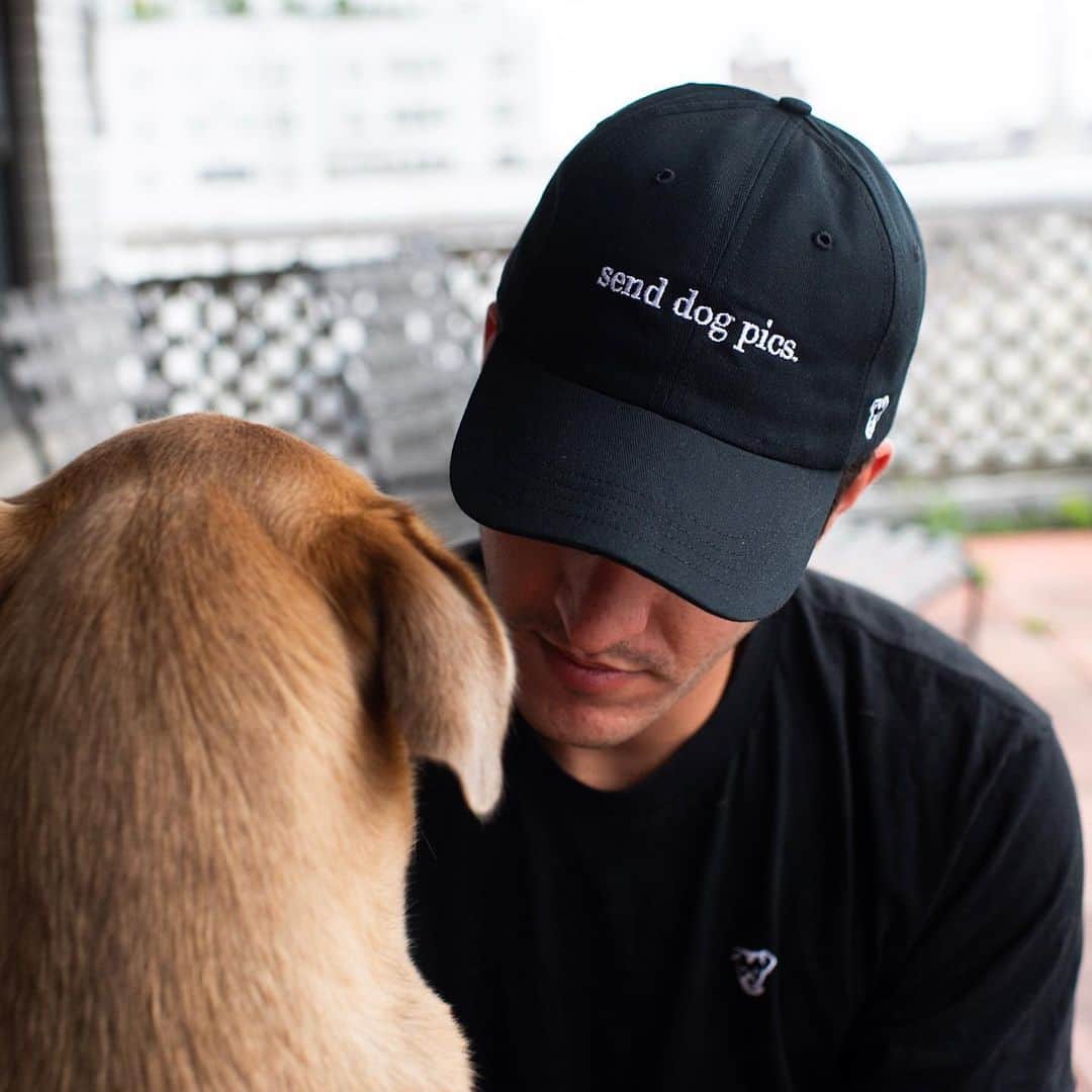 The Dogistさんのインスタグラム写真 - (The DogistInstagram)「New Dogist hats (and restocked logo hats)! We support rescue throughout our work, so we created a hat for everyone to rock their rescue pride! Woof! And for those who believe every pic should be a dog pic, we feel you and agree 100%. Wear this new hat so that everyone knows to just SEND DOG PICS from now on. And remember, every product on The Dogist Shop helps support shelters through our #FeedingFriends initiative. Shop now at the link in bio!」5月31日 23時37分 - thedogist