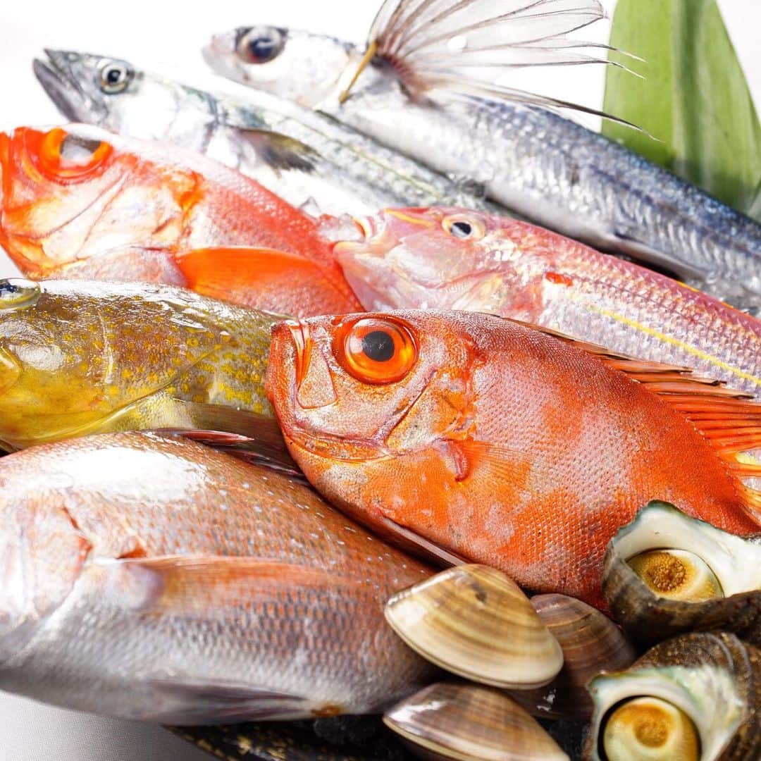 hanatsubaki029のグルメインスタ