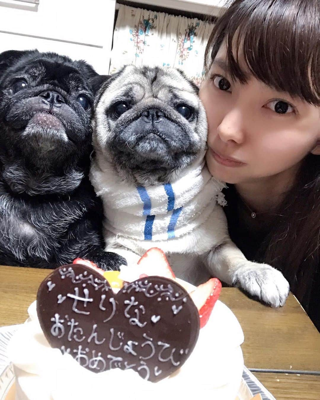 高田世莉菜さんのインスタグラム写真 - (高田世莉菜Instagram)「また1年頑張ろ💕 #誕生日 #birthday #cake #pug #パグ #dog」5月31日 23時43分 - serina_0531