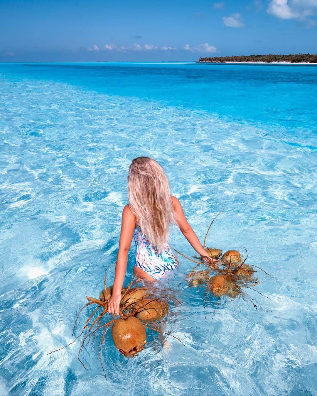 サシャ・カリスのインスタグラム：「Did you know coconuts float? I bet if I gathered enough I could make a raft... 🌴🥥 What do you think?」