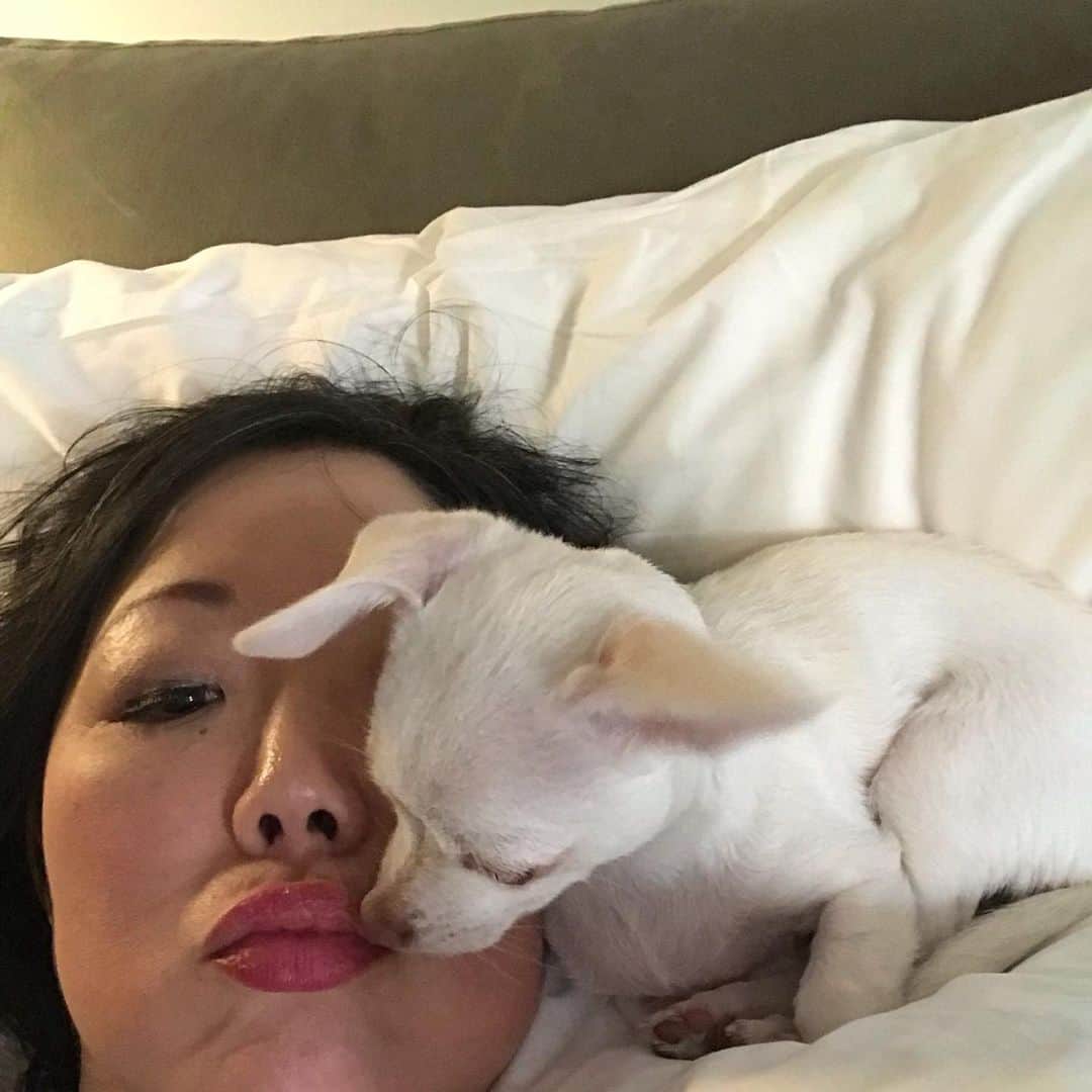 マーガレット・チョーさんのインスタグラム写真 - (マーガレット・チョーInstagram)「Staying in bed with Lucia #rescuedog #dog #dogsofinstagram #bestfriend」6月1日 0時32分 - margaret_cho