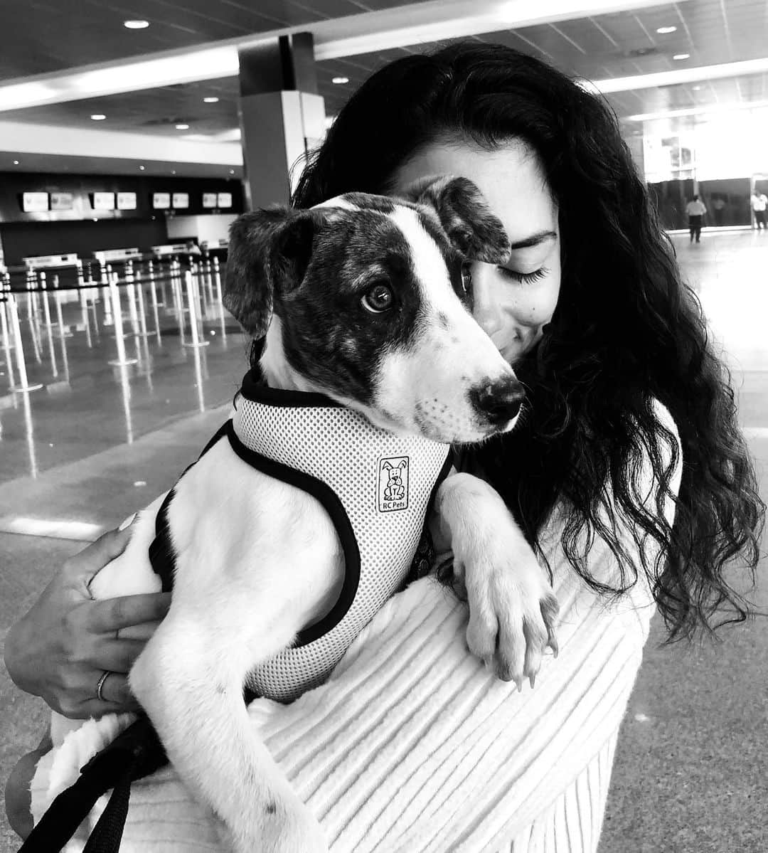 インバー・ラヴィのインスタグラム：「@acredogs rescues homeless pups and places them in loving homes. This past trip we were lucky enough to help bring honey Lupita into her new family.  Thank you for trusting us and for all the incredible work you do. SALUTE❤️🇲🇽🐾 #AdoptDontShop」