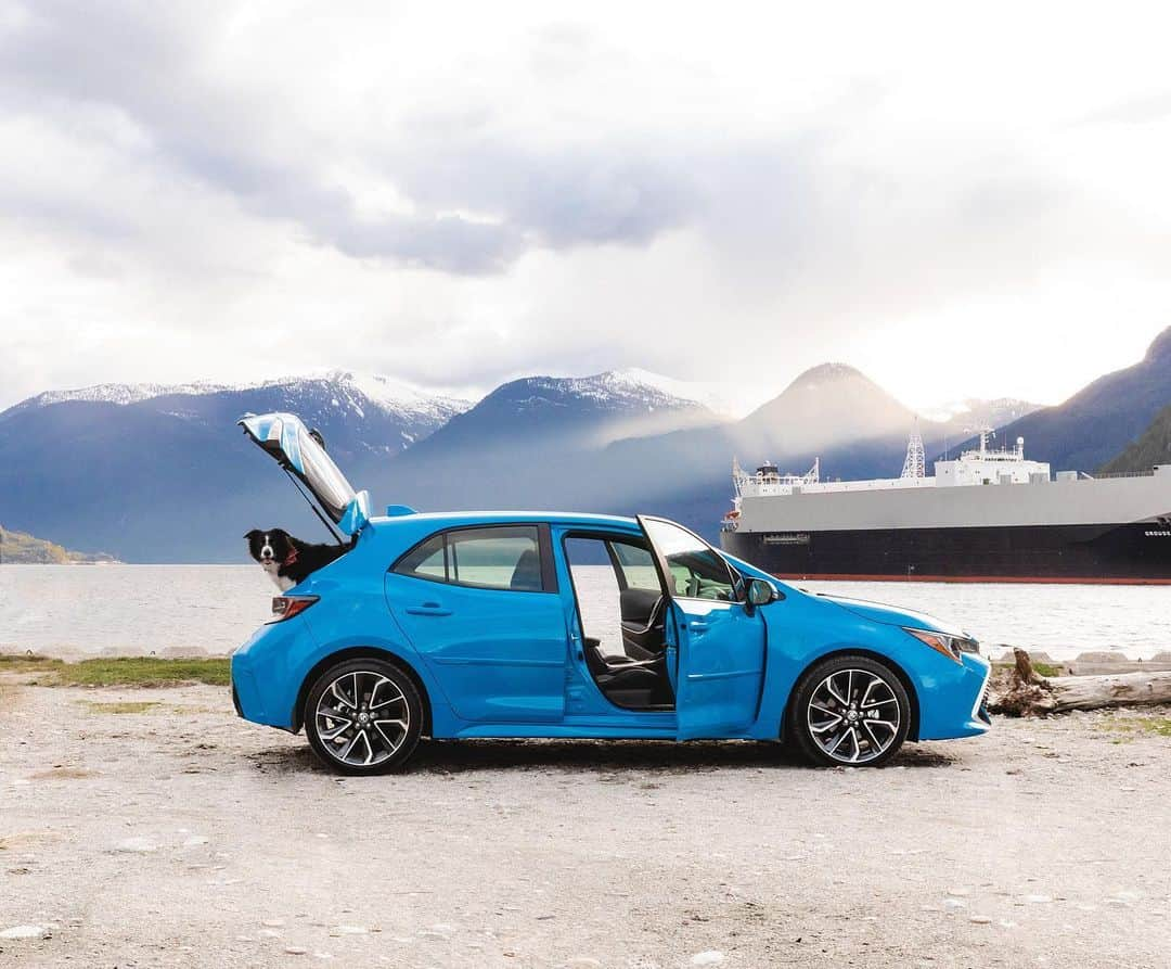 Andrew Knappさんのインスタグラム写真 - (Andrew KnappInstagram)「I took the new @ToyotaCanada Corolla Hatchback for a test drive with Momo up to Squamish. I take Momo where he wants to go, and the Corolla Hatchback took us wherever we wanted. Here are my findings: 🚙 Corolla Hatchback: sleek exterior design, energetic performance, fun to drive, great on gas. 🐶 Momo: sleek fur exterior, energetic performance, tons of drive, occasional gas. Link in bio! #CorollaLife #ad」6月1日 1時16分 - andrewknapp