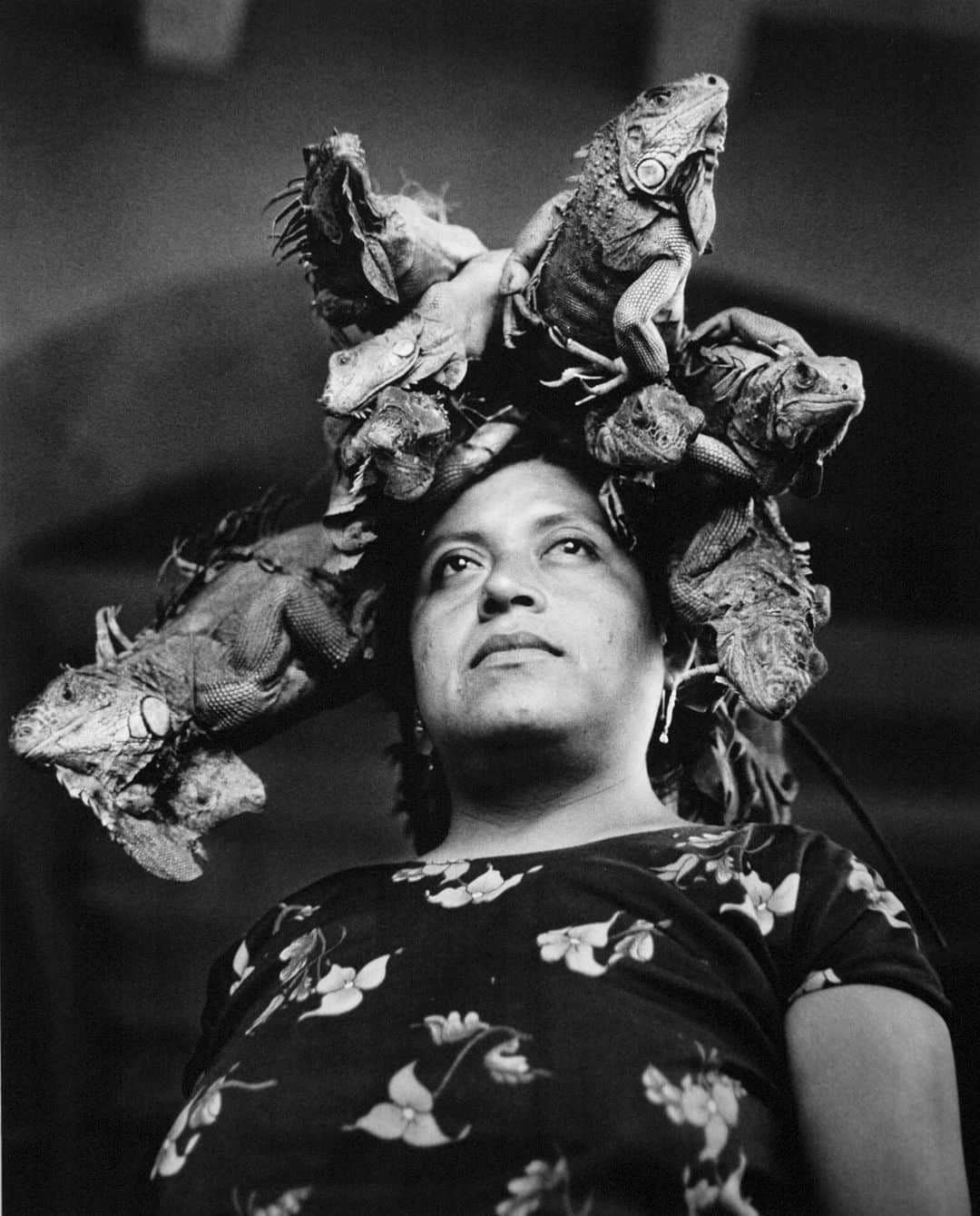 The New Yorkerさんのインスタグラム写真 - (The New YorkerInstagram)「Over the past fifty years, the photographer @gracielaiturbide has dedicated herself to documenting the daily lives, the mores, and the remarkable diversity of Mexican people. She uses monochrome film and relies exclusively on natural light—a technique that lends a mesmerizing rawness to her scenes. “What I see in black and white is more truthful to me,” she said. Tap the link in our bio to see more of Iturbide’s photographs and read about her prolific career.」6月1日 1時12分 - newyorkermag