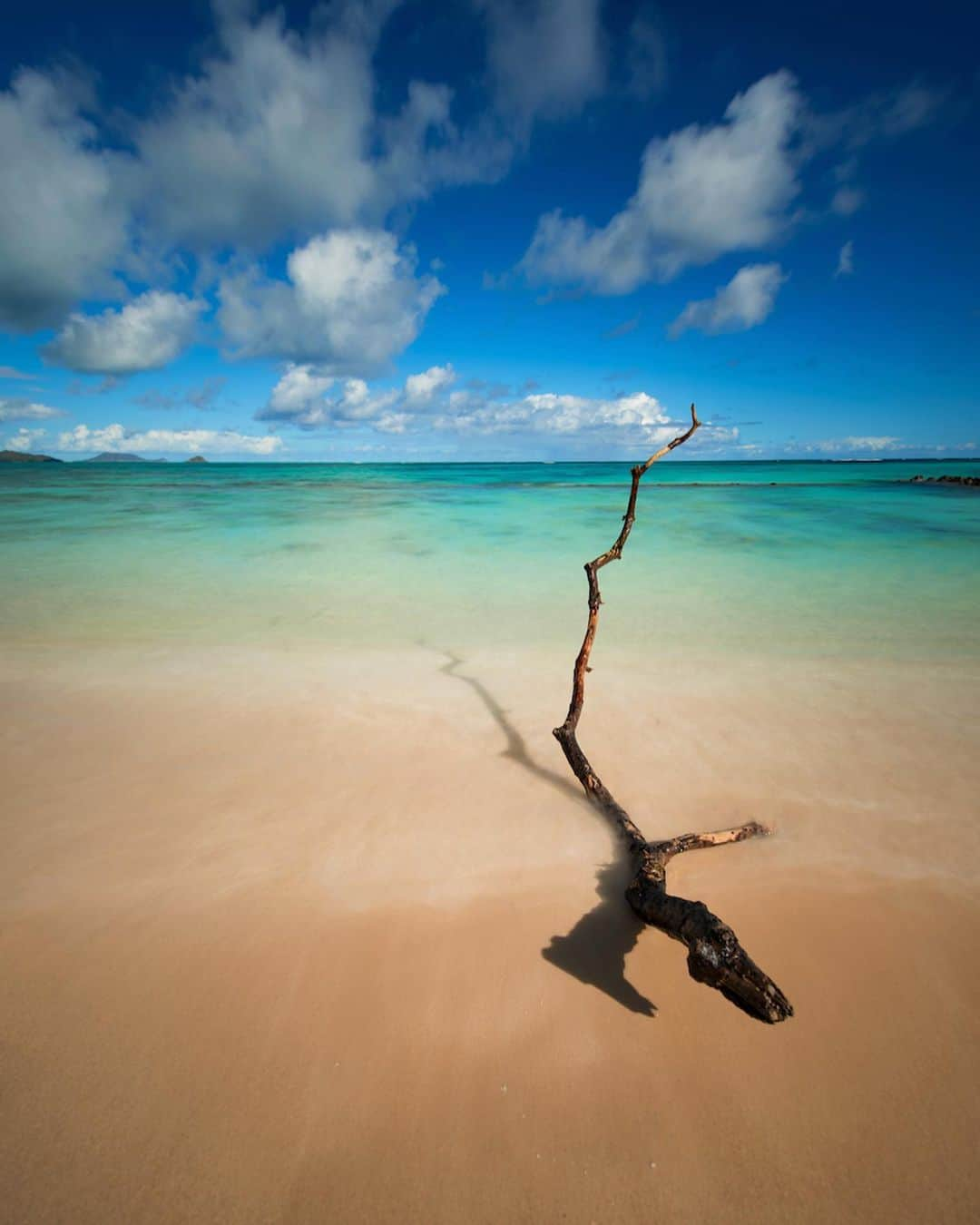 NikonUSAさんのインスタグラム写真 - (NikonUSAInstagram)「For #Nikon100 photographer @alohaninalove, a typical day-in-the-life begins with chasing the sunrise on the beach and capturing the serene movements of ocean waves throughout the day. Drawing inspiration from living in Hawaii, Nina shares what her days off look like through breathtaking photos of the beach. “Sunset is my favorite time of the day. In these photos, I wanted to focus on the rock and the movement of the water surrounding it. The contrast of lighting is also an important element.” Swipe through to see her breathtaking work, shot with the #Nikon #D810 and #NIKKOR 14-24mm f/2.8 lens. 📸 by @alohaninalove. #outdoorphotography #Hawaii #beach #ocean #chasingwaves #sunsets #NikonLove」6月1日 1時17分 - nikonusa