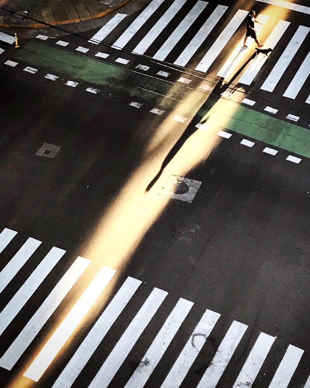 appleさんのインスタグラム写真 - (appleInstagram)「"Sunbeam crossing." #silhouette #ShotoniPhone by Martín D.V. @vamosviendo」6月1日 1時32分 - apple