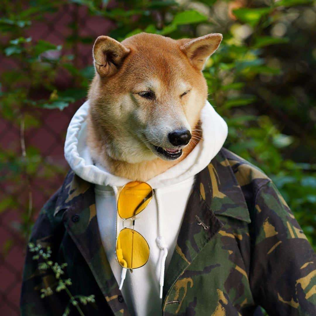 Menswear Dogさんのインスタグラム写真 - (Menswear DogInstagram)「Guess what day it is? 😏  #TGIF #fridayface」6月1日 1時37分 - mensweardog