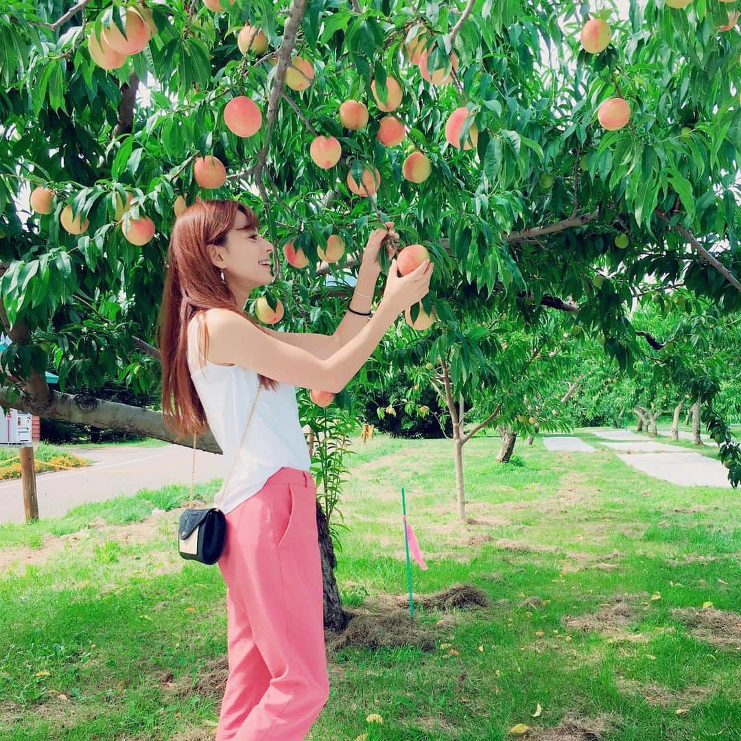 YUUKIさんのインスタグラム写真 - (YUUKIInstagram)「2017．8月 懐かしいの出てきた！シリーズ〜笑  インスタの写真選択のとこが変わって 過去の写真が日替わりで出てくるのね  夏の実家帰省で行った「森の果樹園」での桃狩り♡ 今年こそ、また行きたいなぁ  #memorial #photography #instagood #instafashion #ootd #summer #hirosaki #森の果樹園 #果物狩り #フレッシュ #フルーツ #食べ放題 #桃 #自然 #デトックス #マイナスイオン #弘前 #帰省日記」6月1日 1時48分 - yuuki_._official