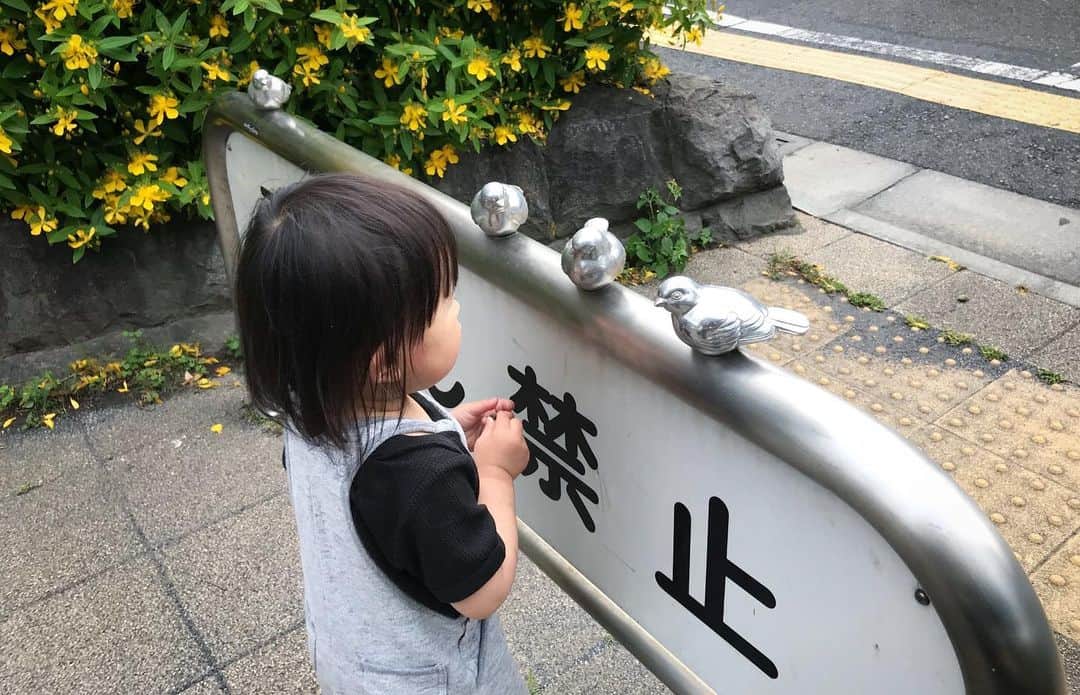 maatamagosanのインスタグラム：「鳥が好きみたい」