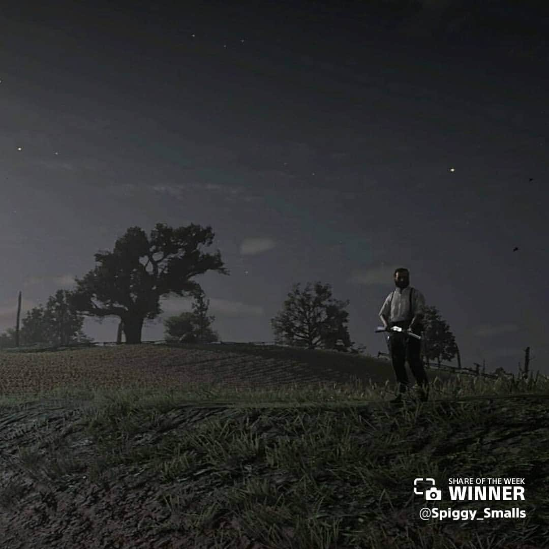 PlayStationさんのインスタグラム写真 - (PlayStationInstagram)「Red Dead Online players showed how the west was won in these Share of the Week entries. Next week’s theme - A Plague Tale: Innocence」6月1日 2時04分 - playstation