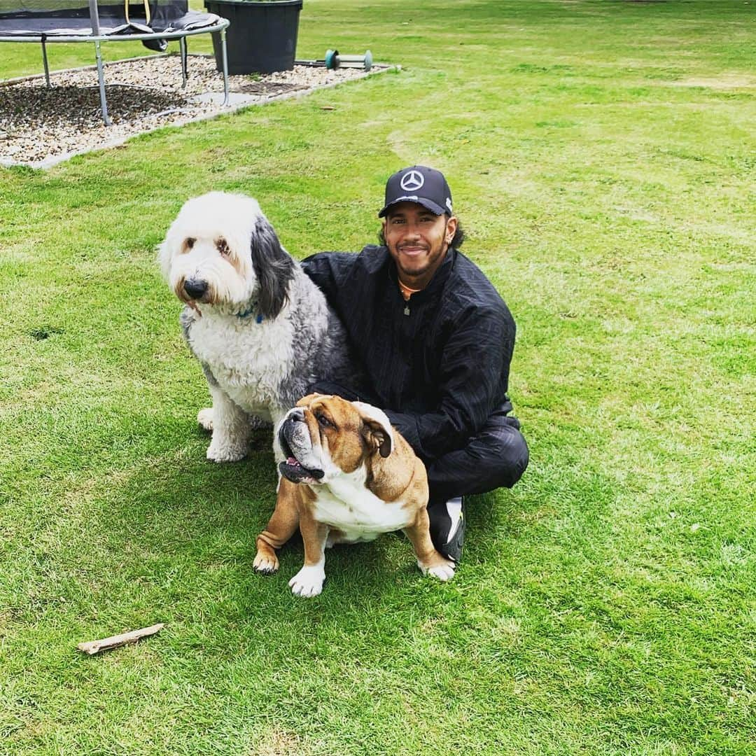 ルイス・ハミルトンさんのインスタグラム写真 - (ルイス・ハミルトンInstagram)「Today I got to see my niece and nephew and my boy Roscoe. Spending time with family is so important. I don’t get very much time with them so I cherish every little moment I do get. There’s really nothing else in the world more important than family. Summer is here in the UK and it’s beautiful. Home is where the heart is. #uncle #family #grateful #blessed」6月1日 2時52分 - lewishamilton