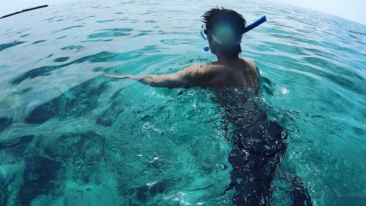 gachikunのインスタグラム：「. Maldives fish🐟  #GoPro#GoPro最強 #シュノーケル楽しい #2時間外におってめっちゃ焼けた #覇者ムーン」