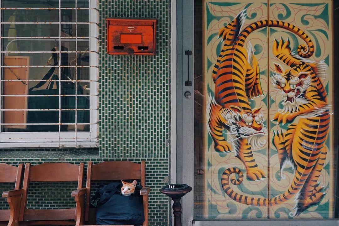 言身寸 in Tainan, Taiwanさんのインスタグラム写真 - (言身寸 in Tainan, TaiwanInstagram)「虤 #一切以大橘為重 - 「#怎麼這樣拍人家啦」 - @paripariapt / #paripariapt - 2019.6.1 #taiwan #tainan #台灣 #台湾 #台南 #写真  #vsco #vscocam #vscotaiwan #vscoTW#vscotainan #coffeexample #coffeeprops #喫茶 #喫茶店 #純喫茶 #珈琲 #民宿 #sonyrx100m6」6月1日 13時47分 - kukud83