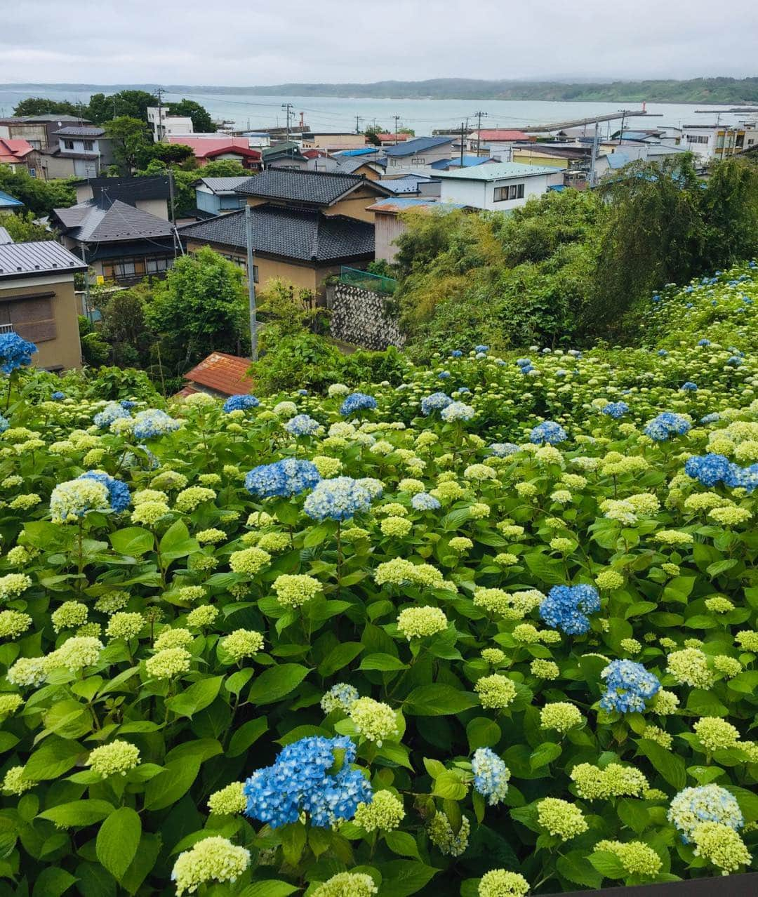 大手小町のインスタグラム