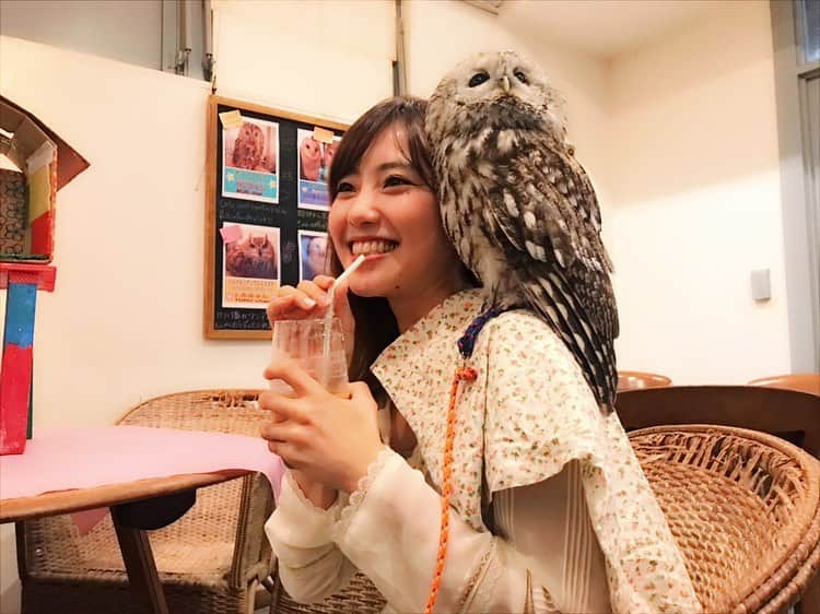 笠原美香さんのインスタグラム写真 - (笠原美香Instagram)「モリちゃん🦉💓 1番人懐っこくて 愛くるしくてたまらな☺️ STREETMINIの撮影でお邪魔しました✨ 新刊お楽しみに〜🙏‼️ #フクロウカフェ」6月1日 14時05分 - mika.k419