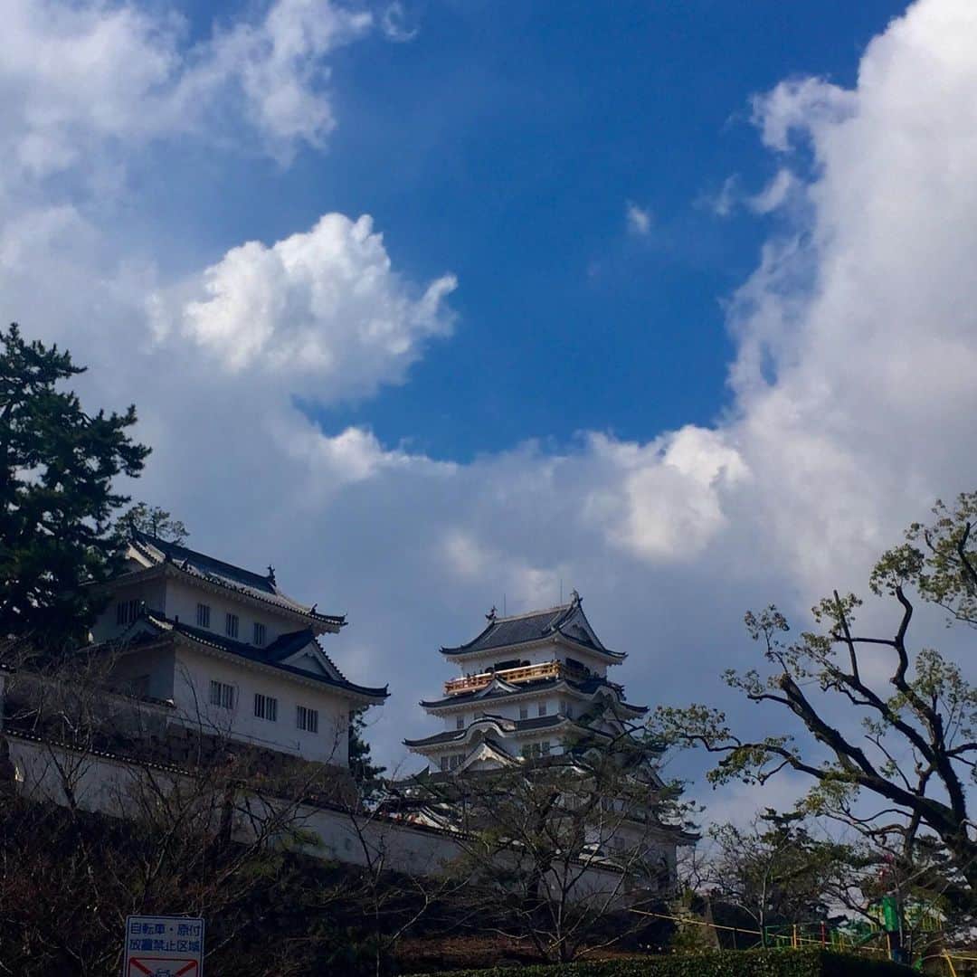 羽原信義のグルメインスタ