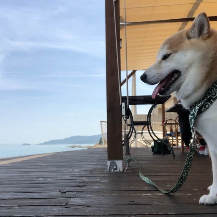 豆助左衛門（まめすけざえもん）のグルメインスタ