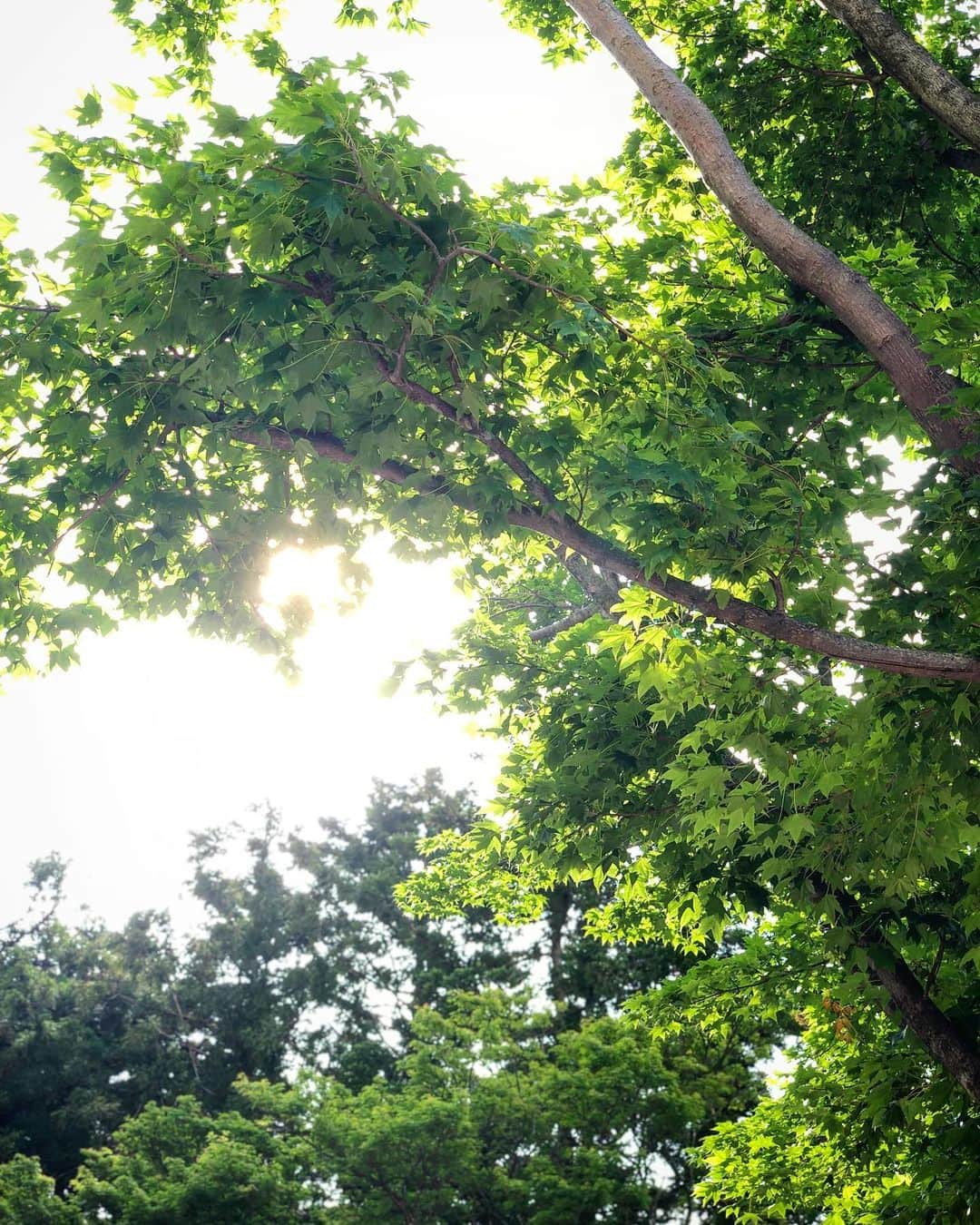 井口卓人さんのインスタグラム写真 - (井口卓人Instagram)「気持ちの良い朝。いよいよ富士24時間レースがスタートします👌ずーっと良い天気でお願いします🙇‍♂️‬#Fuji24h」6月1日 8時26分 - takutoiguchi