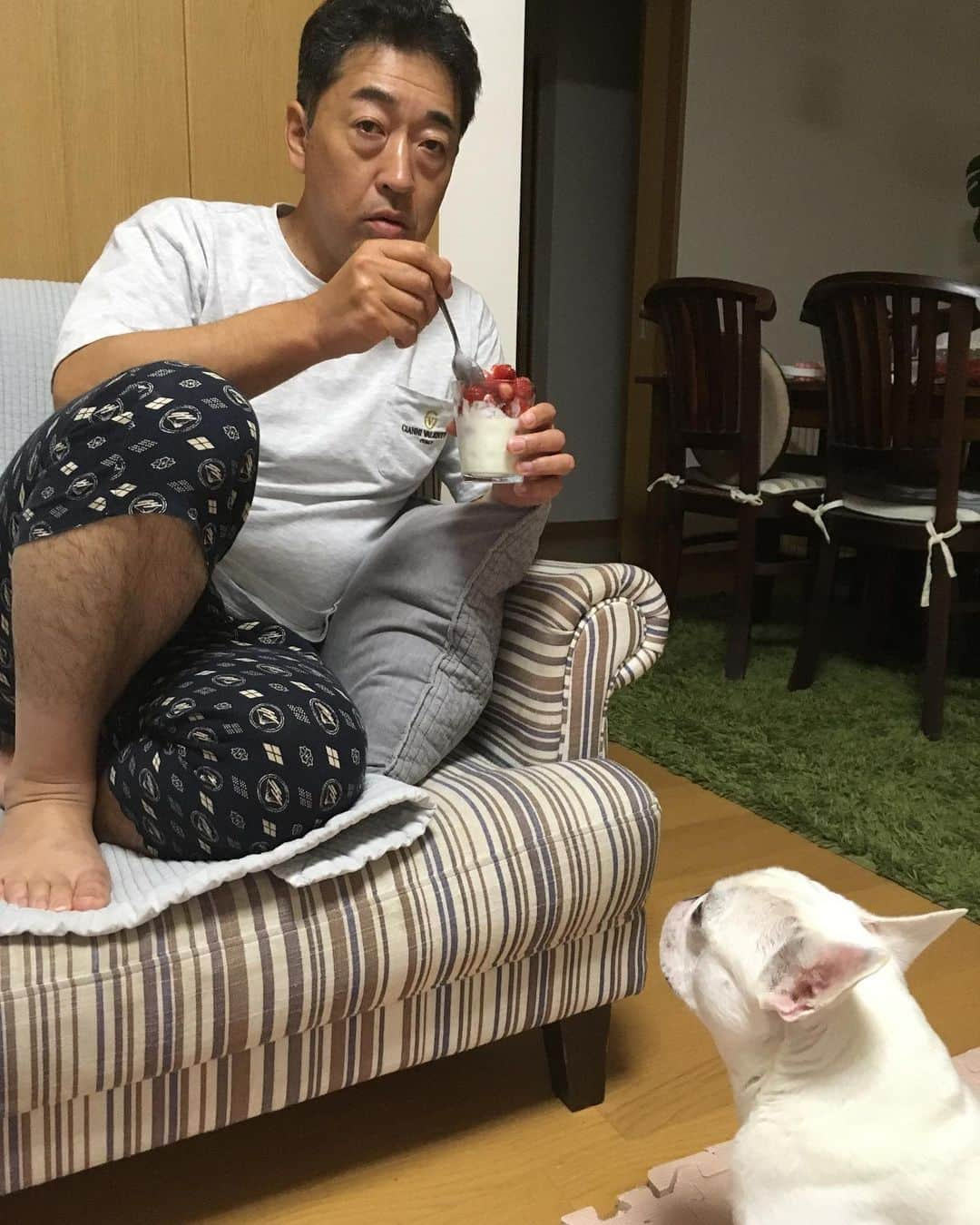 ちえぶぅたさんのインスタグラム写真 - (ちえぶぅたInstagram)「「22時だそ。子供の時間は終わったぞ」と申しております。 自分だけ美味しいのを食べたくて早く寝て欲しかったらしい。 #ぶぅとパパシリーズ#フレンチブルドッグ#フレンチブルドッグクリーム#フレブル#鼻ぺちゃ#frenchbulldog#dogstagram」6月1日 8時57分 - chiebuuta