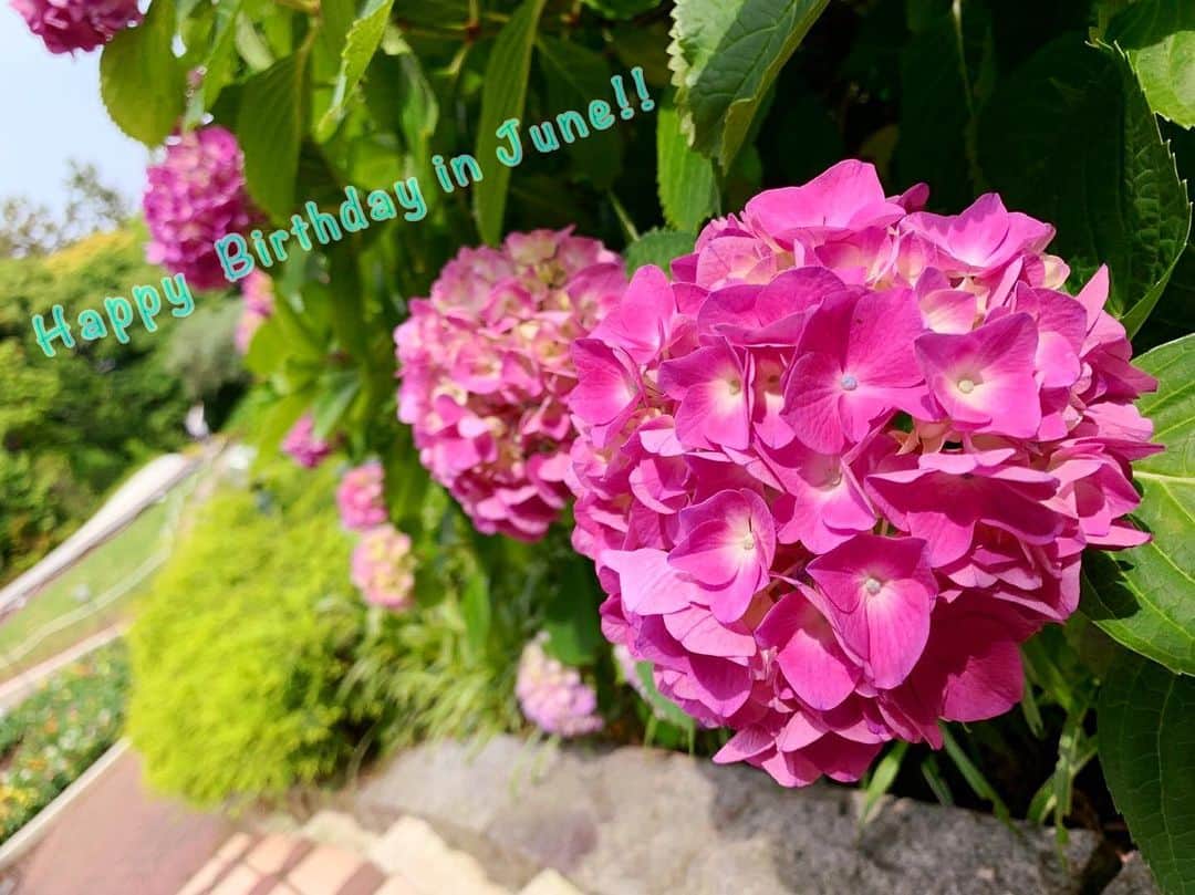 IKSPIARI イクスピアリ公式さんのインスタグラム写真 - (IKSPIARI イクスピアリ公式Instagram)「Happy  Birthday in June！ ６月生まれの皆さまお誕生日おめでとうございます🎂 紫陽花が咲きはじめました！梅雨の訪れを感じますね♪ ✳︎ ✳︎ #イクスピアリ #IKSPIARI #お誕生日 #誕生日 #happybirthday #HAPPY #BIRTHDAY #6月 #june #６月生まれ #オリーブと噴水の広場 #お花 #花 #flower #flowers #あの角の向こうに発見がある」6月1日 14時54分 - ikspiari_official