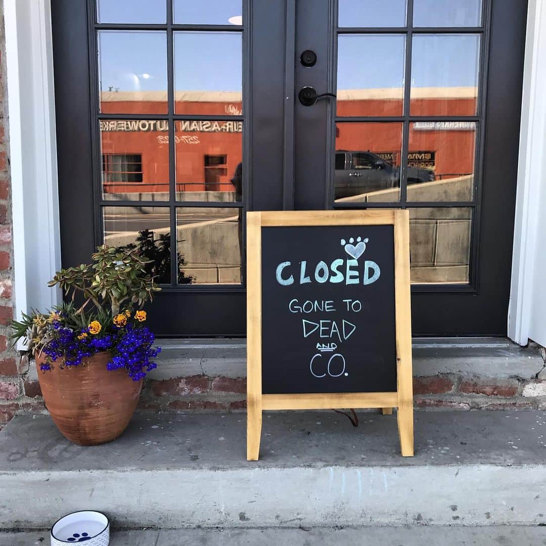 Dogs by Ginaのインスタグラム：「Closed tomorrow but I’ll be back at it come Wednesday!  Have a GRATEFUL weekend everyone! ❤️💀⚡️🌹」