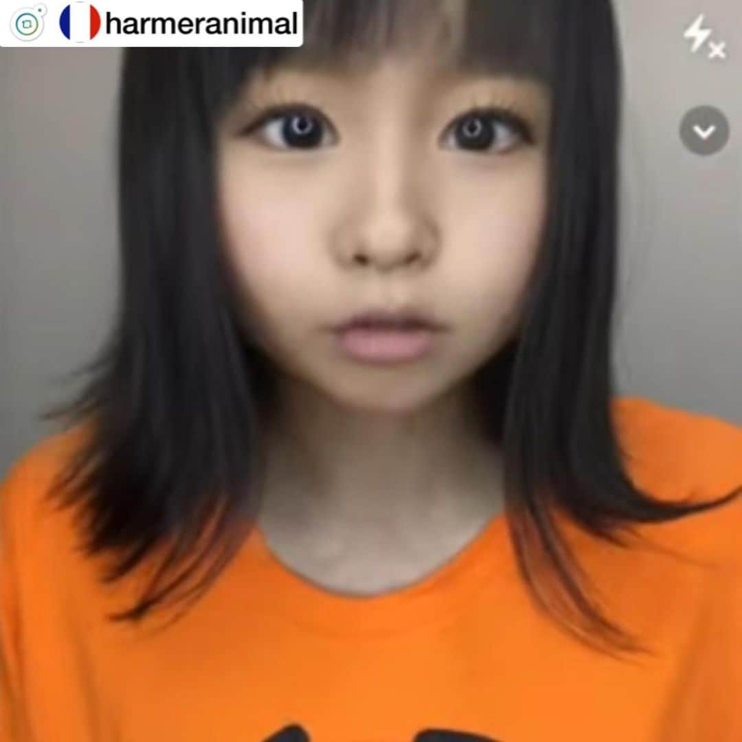 のインスタグラム：「・ ・ YouTubeチャンネルにて『misoNosukeの子供について』語った回は、再生回数3万いってるし！ ・ misonoの記事は『不倫、薬物、事故、誰かとのトラブル』でもない訳だし… ・ ネットニュースになるだけ、有り難いし…記者の皆様には、感謝でしかないです！ ・ ↓ ・ #repost by @harmeranimal ・ ・ 以前から投稿でも言ってましたが misonoさんのことを投稿したり SNSを拝見させていただいたりして、約１年 ・ 本当に自分の周りに 良い事ばかり起こっていて 以前は、仕事の領域だけだったのですが ・ プライベートの領域まで 良い事が起こってきています。 misonoパワーなんて ・ スピリチュアル的な表現をしたことも ありましたが(笑) 実際はmisonoさんの事を拝見することで ・ ”こうやって人と接すれば もっと仲間や大切な人とつながれるんだ 自分もちょっと変えてみよう ・ こんな生き様もあるんだ すごい！参考にしよう” そういった思いがあって ・ 少しづつ自分の普段の言動が 変わっているからなんだと思います。 そしてそう思えるのは ・ misonoさんが ある意味、犠牲を払ってでも 全てを嘘なく色んな媒体を通して ・ 見せてくれるから。。。 本当に有り難いし 素敵、尊敬、大好きです。 ・ そんな中、また意味のわからない ネットニュースが出てて ため息ばかりです。。。 ・ ありのままを嘘なく見せてくれている misonoさんに”大げさ”とか書いてある。  意味が解らないというか ・ 無理がありすぎる記事だと 直感で思ってしまいました（笑）  うん、こんなの気にしないでください！ ・ んで、記事中の （ネットウォッチャー）とか（夕刊紙記者）とか 誰やねん（笑） ・ #misono  #YouTube #チャンネル  #いいね #ありがとうございます」