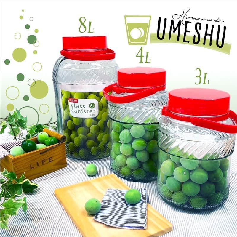 ダイソーさんのインスタグラム写真 ダイソーinstagram 梅酒を作る季節になりました 梅酒づくりの準備は是非ダイソーで 果実酒づくりにも最適です 梅酒瓶約３ｌ ３００円 梅酒瓶約４ｌ ５００円 梅酒瓶 約８ｌ