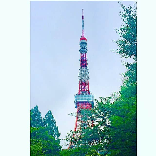 七瀬遥さんのインスタグラム写真 - (七瀬遥Instagram)「6月😳🍃🐌 #🗼#6月#東京タワー#smile#love#friend#good#happy#smile#tokyo#japan」6月1日 10時15分 - haruka_mh