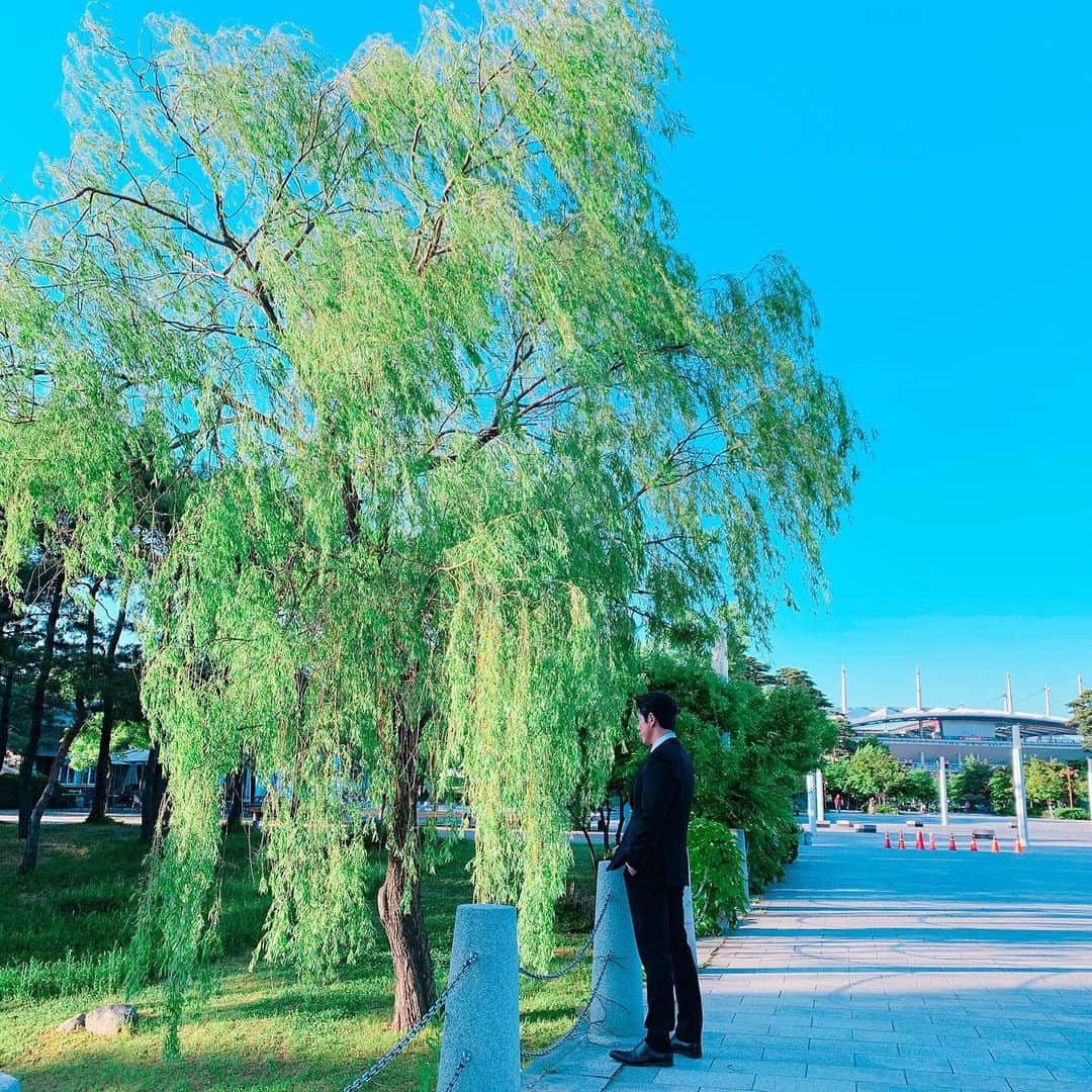 リュ・スヨンさんのインスタグラム写真 - (リュ・スヨンInstagram)「#버드나무 #birdnamu? #willow」6月1日 10時31分 - suyoung_ryu